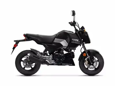 2025 Honda Grom™Honda Grom™ miniMOTOThere’s a great reason why the Honda Grom™ 124 cc is one of the...