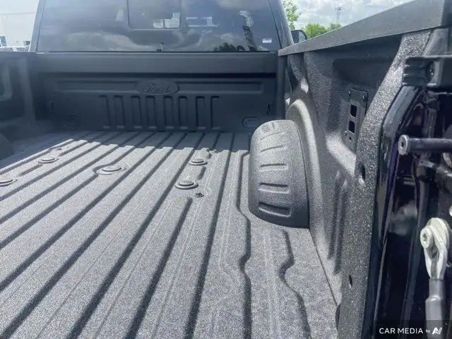 2025 Ford Super Duty F-250 SRW Platinum dans Autos et camions dans Brandon - Image 34