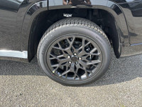 HIGH ALTITUDE PACKAGE -inc: Wheels: 21 x 9 Black Painted Aluminum Painted Door Cladding Gloss Black... (image 7)
