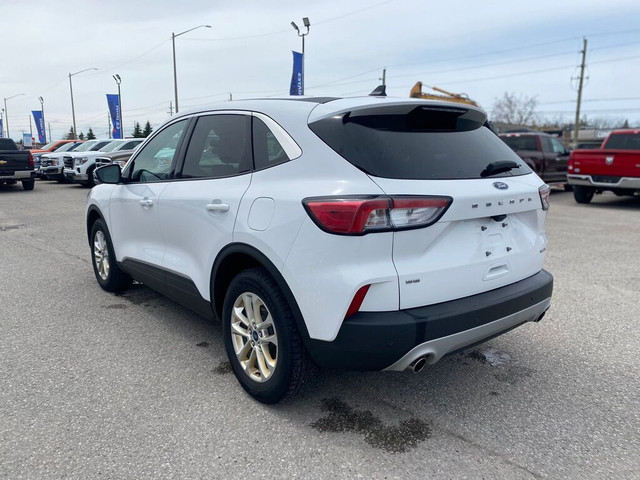2020 Ford Escape SE AWD in Cars & Trucks in Barrie - Image 2