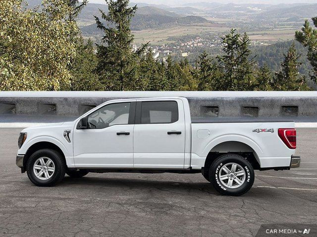 2023 Ford F-150 XLT in Cars & Trucks in Moncton - Image 2