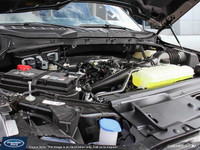 The 2025 F-150 is purpose-built from the ground up --- designed to be the toughest, most productive... (image 6)