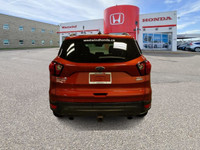 2019 Ford Escape SEL AWD – One Owner | Local Lethbridge SUV | Clean Carfax & Full Service History!Th... (image 3)