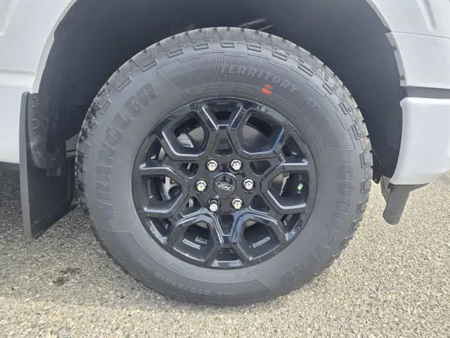 2025 Ford F-150 XLT | BLACK APP PKG | MOBILE OFF PKG | FX4 PKG in Cars & Trucks in Calgary - Image 6