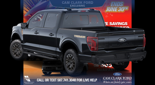 2025 Ford F-150 Tremor in Cars & Trucks in Red Deer - Image 2