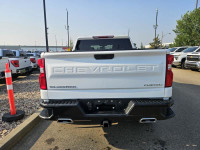2020 Chevrolet Silverado 1500 4WD Crew Cab 147" Custom Trail, 5.3L V8 Gas, Remote Keyless Entry, Bac... (image 3)