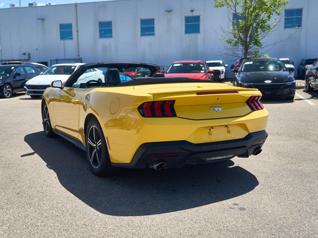 2024 Ford Mustang EcoBoost Premium in Cars & Trucks in Edmonton - Image 3