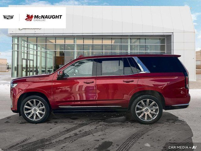 2021 Cadillac Escalade Premium Luxury Platinum 6.2L AWD in Cars & Trucks in Winnipeg - Image 2
