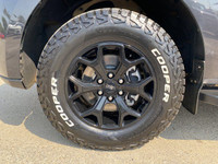 **WE WILL BEAT ANY DEALER IN THE CITY** Recent Arrival! Dark Matter Metallic 2022 Ford Expedition Ti... (image 3)