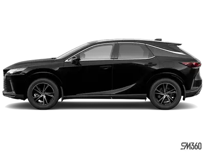 SURFACE DES SIÈGES EN SIMILICUIR NULUXE, NOIR|APX 00|GROUPE LUXE|0223 CAVIAR Engine: 4 Cylinder Engi...
