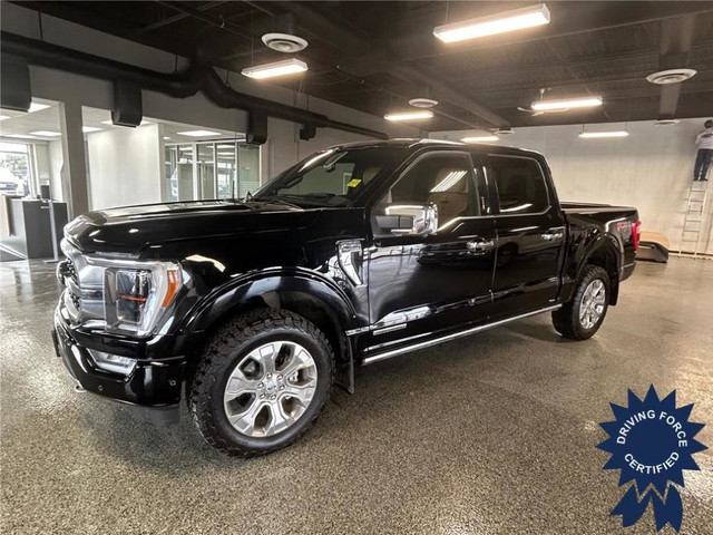  2022 Ford F-150 Platinum in Cars & Trucks in Oakville / Halton Region