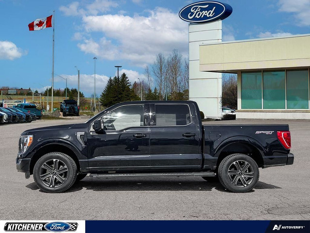 2021 Ford F-150 XLT 302A | SPORT PACKAGE | 360 CAMERA | NAVIG... in Cars & Trucks in Kitchener / Waterloo - Image 3