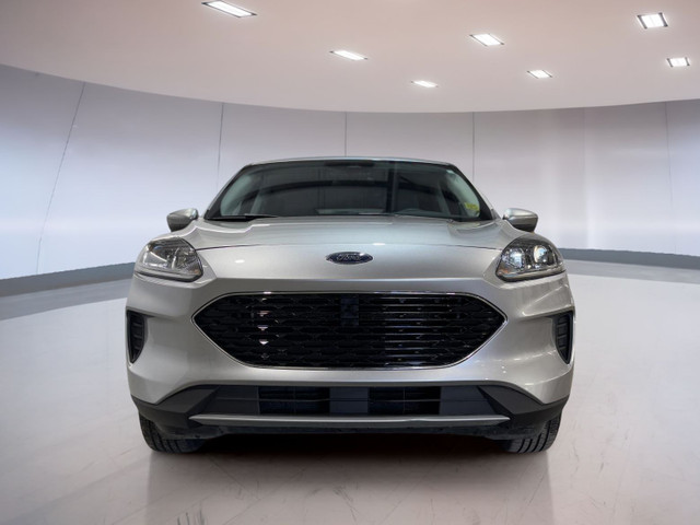 2021 Ford Escape Se Hybrid in Cars & Trucks in Moose Jaw - Image 2