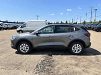 **WE WILL BEAT ANY FORD DEALER IN THE CITY** Built for drivers who crave excitement and versatility,... (image 3)