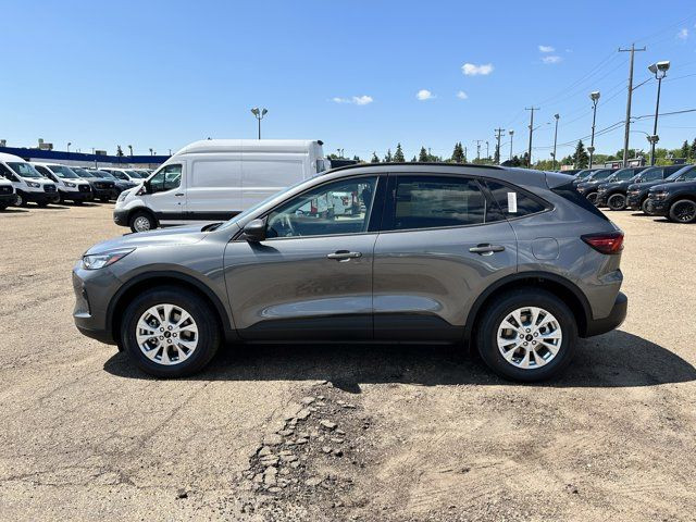 2025 Ford Escape Active in Cars & Trucks in Edmonton - Image 4