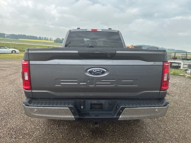 2021 Ford F-150 XLT CREW 4x4 5.0L- WARRANTY INC, NAV, PRO TRAILE in Cars & Trucks in Red Deer - Image 4