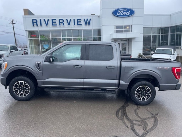  2021 Ford F-150 XLT in Cars & Trucks in Fredericton - Image 2