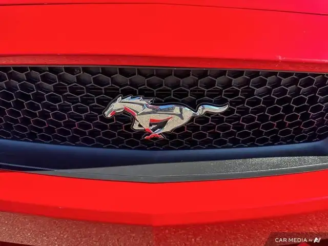 2016 Ford Mustang GT Premium dans Autos et camions dans Ville d’Edmonton - Image 11