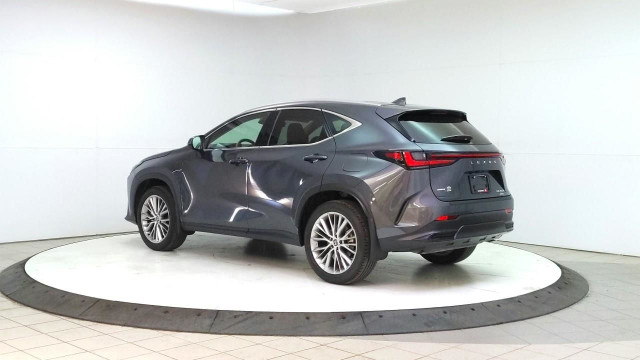 2025 Lexus NX 350h in Cars & Trucks in Lethbridge - Image 3