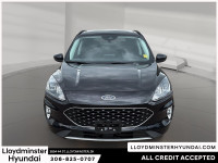 Welcome to Lloydminster Hyundai! Discover a superior car-buying experience with our wide selection o... (image 1)