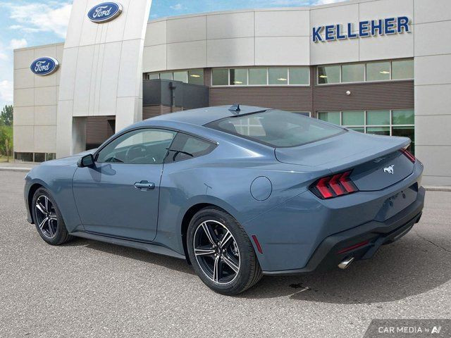 2025 Ford Mustang EcoBoost in Cars & Trucks in Brandon - Image 3