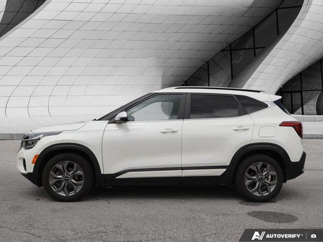 2024 Kia Seltos EX | Back-up Camera | Leather | Heated Seats in Cars & Trucks in London - Image 2
