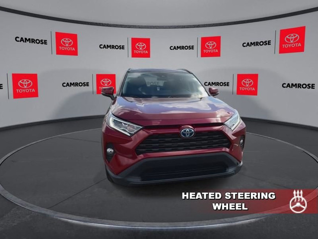 2021 Toyota RAV4 Hybrid XLE - Sunroof - Power Liftgate in Cars & Trucks in Edmonton - Image 3