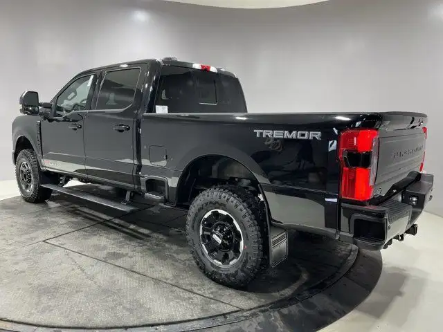 2025 Ford Super Duty F-250 SRW Platinum in Cars & Trucks in Strathcona County - Image 13