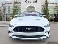 Get ready to soak up the sun and feel the wind in your hair, because the 2023 Ford Mustang EcoBoost... (image 8)