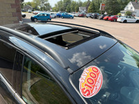 SE Trim! EcoBoost 1.6Ltr 4Cyl Automatic! Dual Zone AC! Navigation! Cruise Control! Heated Seats! Bac... (image 7)