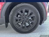 AMVIC-licensed business 2020 Ford Explorer XLT 4WD - Loaded! Leather! Nav! Blackout Pkg! // ACCIDENT... (image 5)