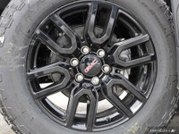 Conquer the Canadian Terrain with the 2025 GMC Sierra 1500 Pro: Where Power Meets Precision in Every... (image 6)