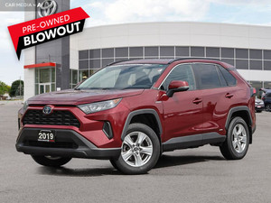 2019 Toyota RAV 4 LE