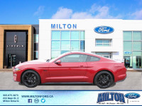 2020 MUSTANG - GT COUPE PREMIUM SERIES - LED HEADLAMPS & TAILIGHTS - LEATHER STEERING WHEEL W/ CONTR... (image 2)
