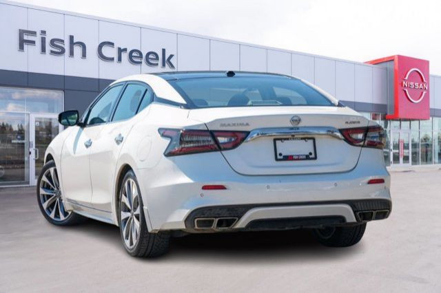 2020 Nissan Maxima Platinum | One Owner | Low Kilometers in Cars & Trucks in Calgary - Image 4