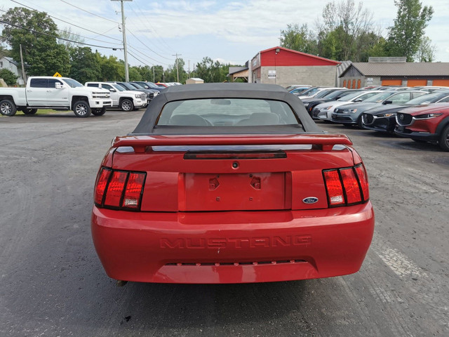 2001 Ford Mustang Deluxe in Cars & Trucks in Belleville - Image 4