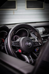 This ALFA ROMEO Stelvio Quadrifoglio, RARE, LOADED LEATHER, AWD, PANO ROOF comes with plentiful amen... (image 7)