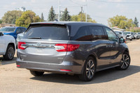 // ACCIDENT FREE!! // // SINGLE OWNER! // Experience exceptional family travel with the 2019 Honda O... (image 3)