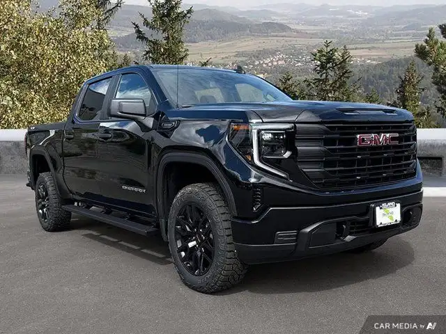 2025 GMC Sierra 1500 Pro in Cars & Trucks in Cowichan Valley / Duncan - Image 9