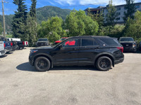 Twin Panel Moonroof, Rear Seat Entertainment System, Wireless Charging Pad, 360-Degree Camera, Steel... (image 3)