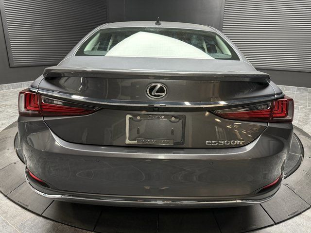 2024 Lexus ES 300H LUXURY PACKAGE in Cars & Trucks in Edmonton - Image 4