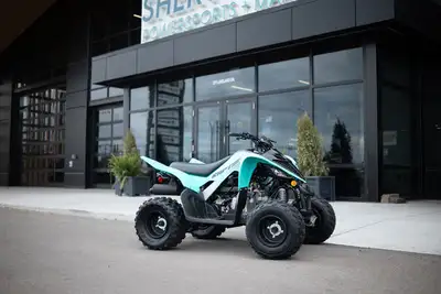 Engine Type: Single-Cylinder Displacement: 6.8 cu. in. (112 cc) Bore x Stroke: Bore: 2.06 in. (52.4...