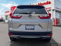 *WATERLOO HONDA'S **PRE-OWNED BUY SMART PROGRAM* - With the purchase of this vehicle, you will recei... (image 6)