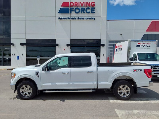 2023 Ford F-150 XLT 4WD SuperCrew 6.5&amp;apos; Box, 5.0L V8, 10 in Cars & Trucks in Calgary - Image 2
