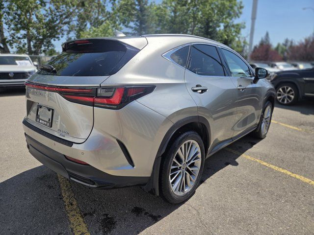 2022 Lexus NX NX 350h in Cars & Trucks in Calgary - Image 3