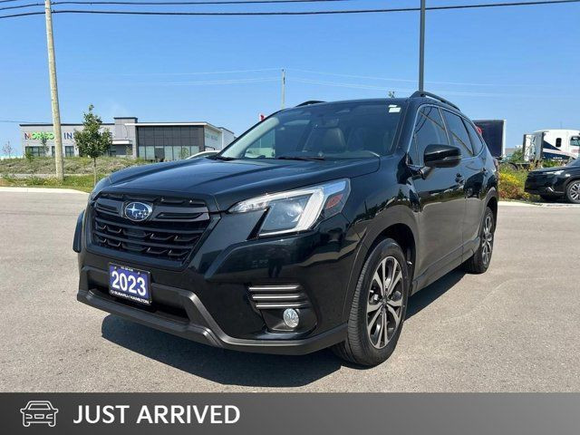 2023 Subaru Forester Limited in Cars & Trucks in Hamilton
