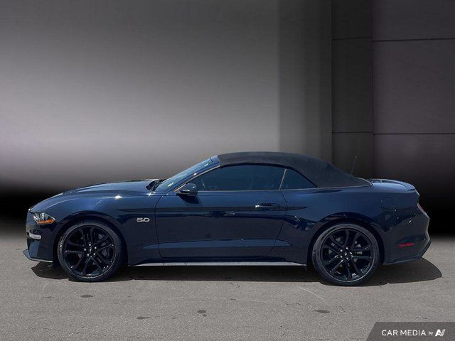 2021 Ford Mustang GT Premium in Cars & Trucks in Cambridge - Image 3