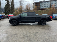 Wireless Charging Pad, Skid Plates, Mobile Office Pkg., Pro Access Tailgate, Twin Panel Moonroof, Wh... (image 6)