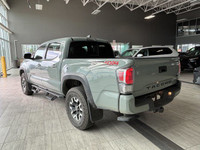 HEATED FRONT SEATS, ADAPTIVE CRUISE CONTROL, BACK-UP CAMERA Yearning for a rugged companion to conqu... (image 6)
