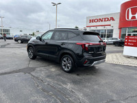 Experience the confident handling and versatile design of this 2024 Kia Seltos LX SUV. This Fusion B... (image 6)